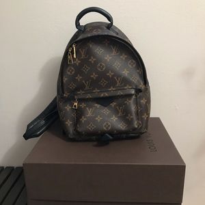 Louis Vuitton Palm Springs Backpack medium